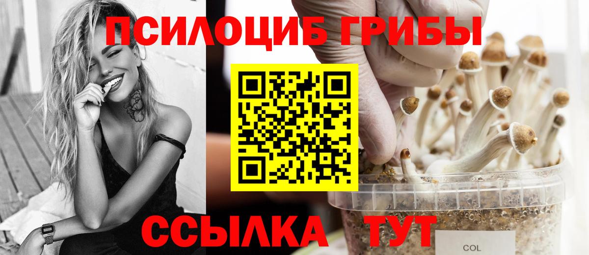Можайск  Галлюциногенные грибы ЛСД  Вход с VPN 